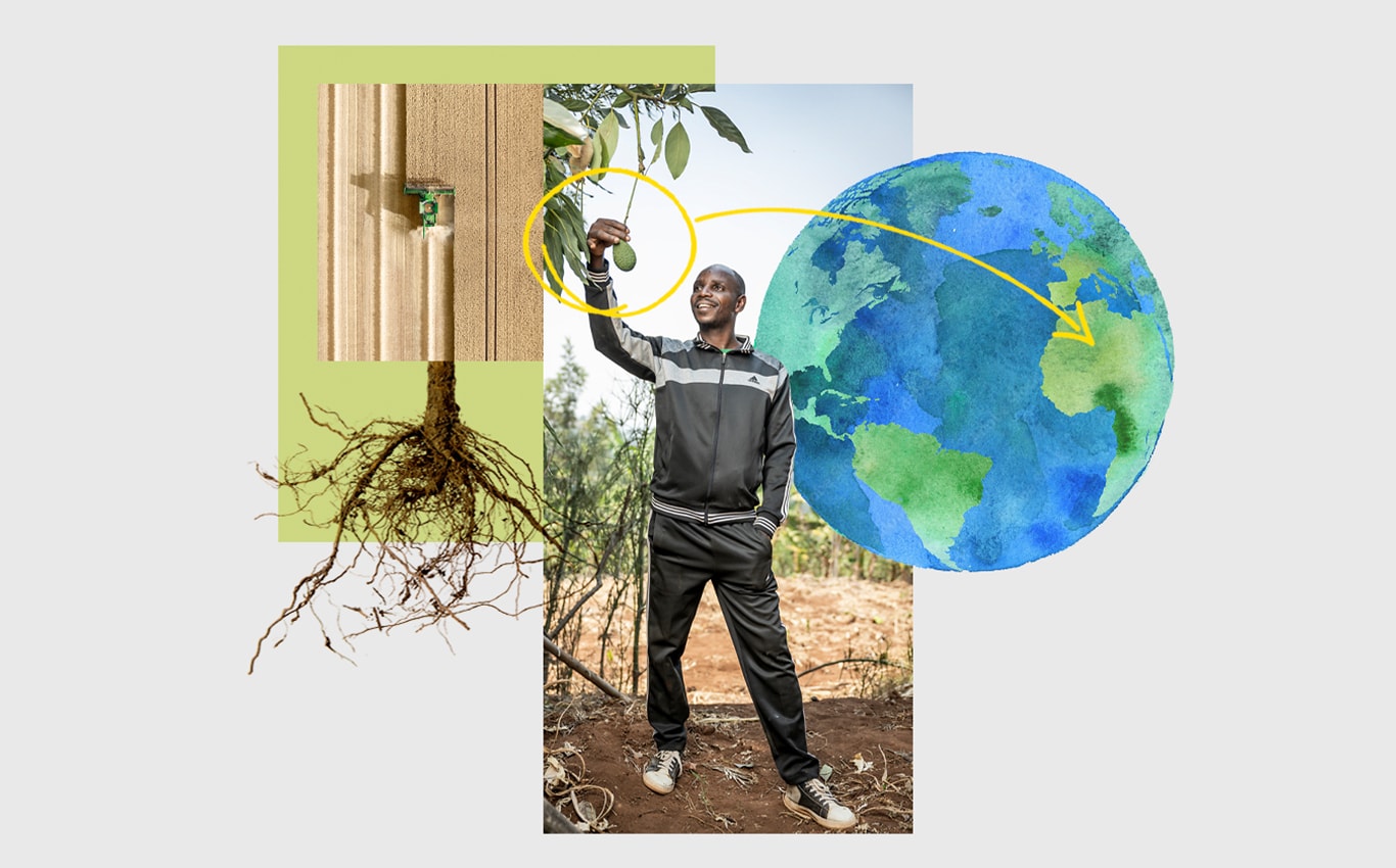 En flygbild över en exakthack från John Deere på ett fält, en person som tar tag i en avokado som hänger från ett träd och en pil som pekar mot Afrika på en illustration av jorden.