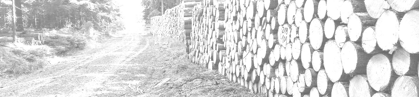 Logpiles by the road