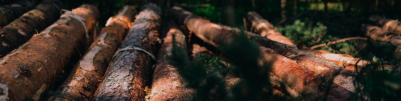 Logpiles by the road