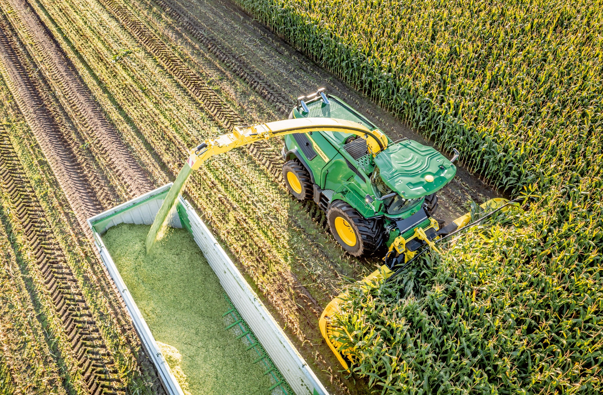 Flygfoto av en grön John Deere exakthack som skördar majs och överför hackat ensilage till en vagn på ett stort majsfält.
