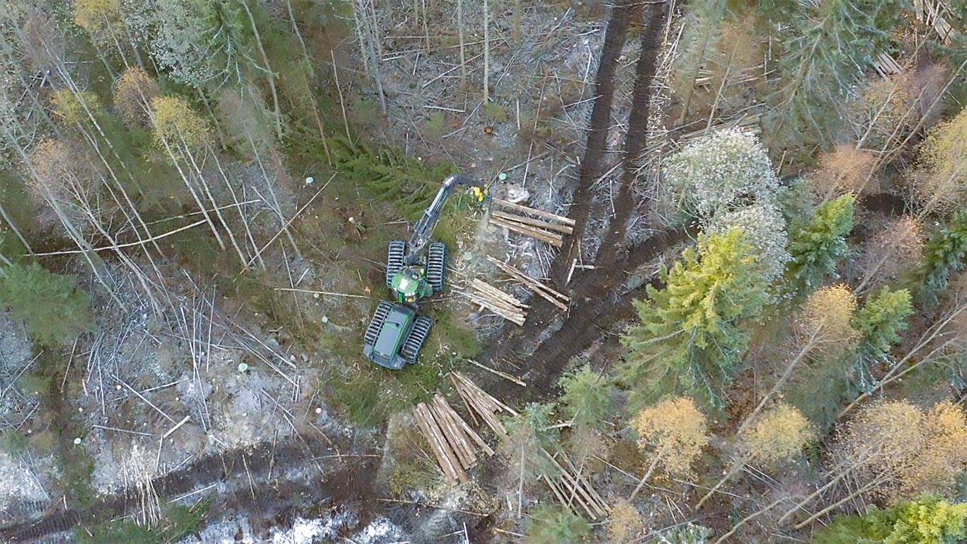 Skogsmaskin i skogen